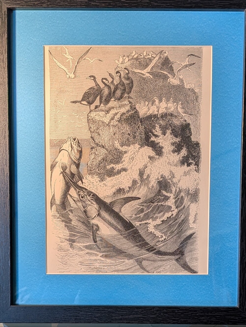 Vintage Fish& Birds Art Print - Stunning 127 Year Old Print From Recycled Book